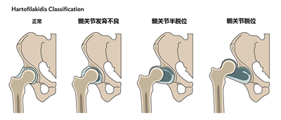 1766481920250952.png 图片1.png