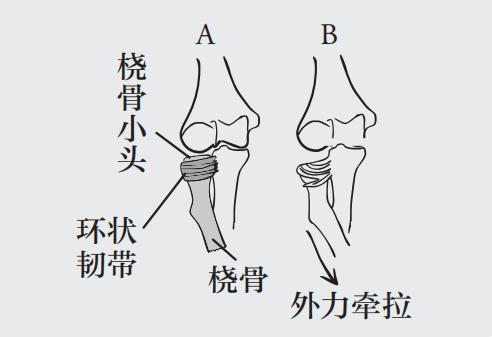 1703758000140017.png 图片52.png
