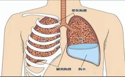1722392367281027.png 图片1.png