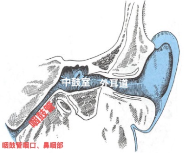 1726025172893350.png 01_看图王.png