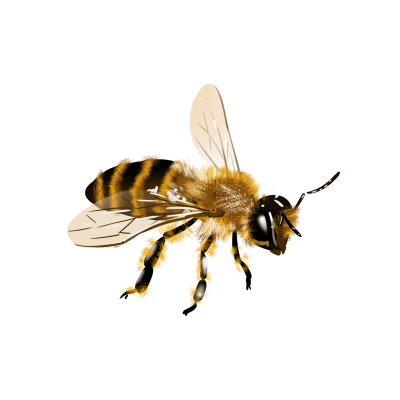 1726043690246118.png 千库网_展开翅膀的蜜蜂_元素编号13078313.png