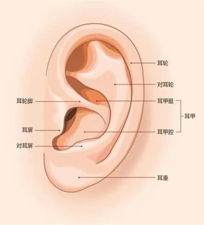 1727666490238894.png 图片1.png