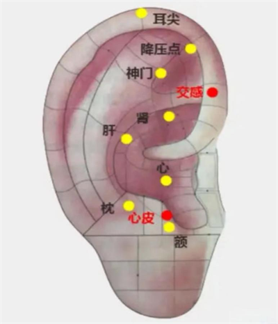 1727666593688784.png 图片5.png
