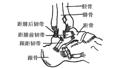 1727667989655908.png 图片1.png