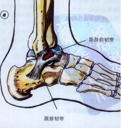 1727668061219696.png 图片2.png