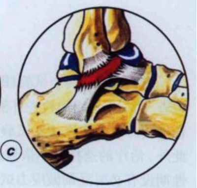 1727668107377212.png 图片5.png