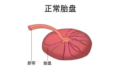 1730081305365209.png 图片1.png
