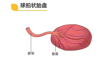 1730081327559063.png 图片2.png