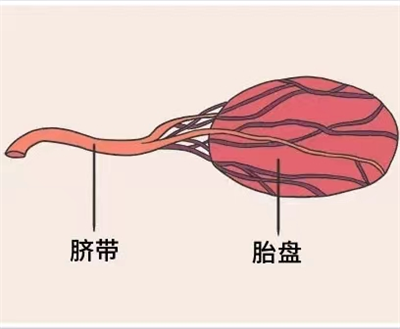 1730081359392456.png 图片3.png