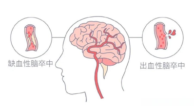 1730098874290118.png 图片1.png