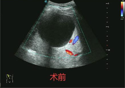 1730883480999313.png 图片4.png