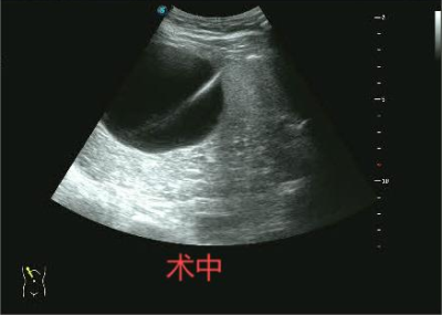 1730883488944189.png 图片5.png