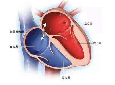 1730950951293359.png 图片1.png