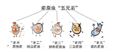 1730965887923452.png 02.png