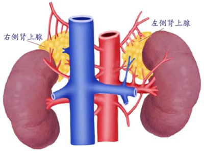 1731317516385781.png 图片5.png