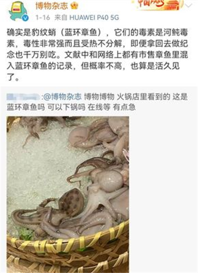 1733110516152377.png 图片1.png
