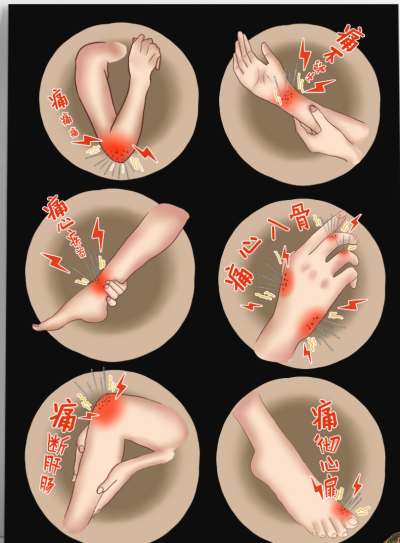 1733801861277978.png 图片1.png
