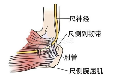 1734419621891015.png 图片6.png