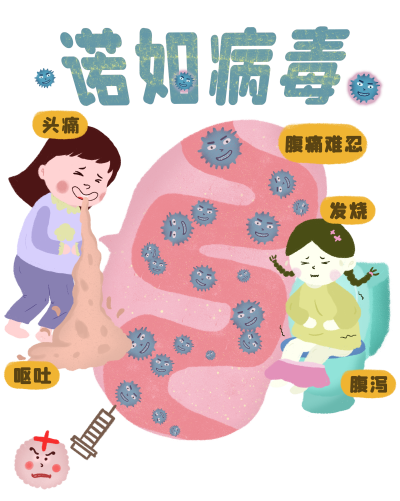 1734421153612402.png 千库网_诺如病毒医学科普_元素编号12957043.png