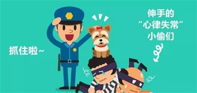 图片2.png