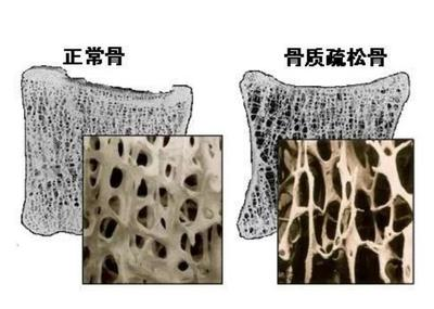 1734423196323516.png 图片1.png