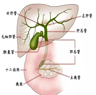 1734427775869894.png 图片1.png