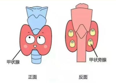 1734428800926116.png 图片3.png