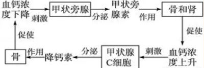 1734428817903237.png 图片4.png