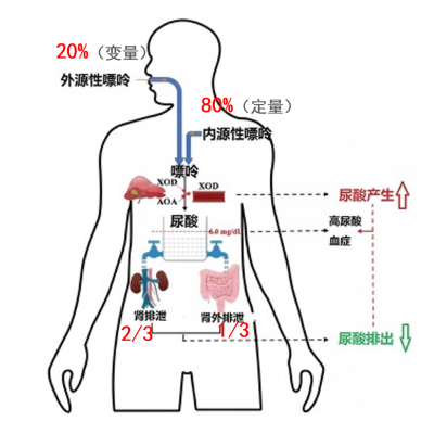 1735002040881155.png 图片1.png