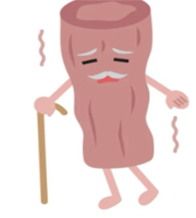 1735002519447277.png 图片2.png