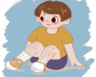 1735002641316485.png 图片10.png