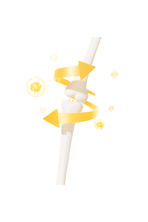 1735006730454995.png 千库网_3d恢复治疗骨骼关节医疗健康补钙中老年人体结构_元素编号14567204.png