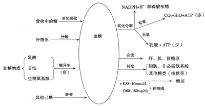 1735011544604794.png 图片1.png