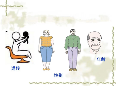1735026940840066.png 图片4.png