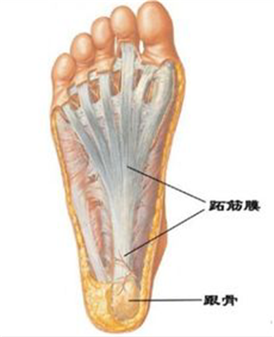 1743496479356668.png 图片1.png