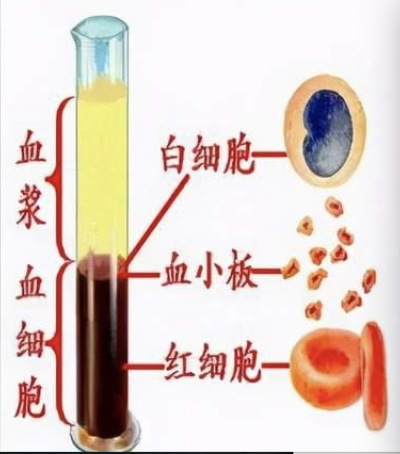 1749522701906066.png 图片1.png