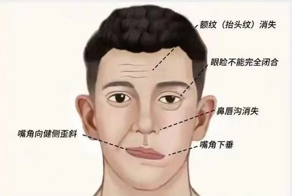 1750127825481802.png