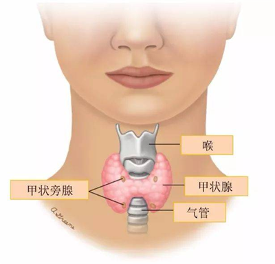 1750322910249359.png 图片1.png