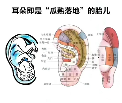 1753777822441015.png 图片1.png
