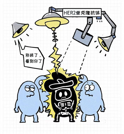 1754017237589193.png 02.png