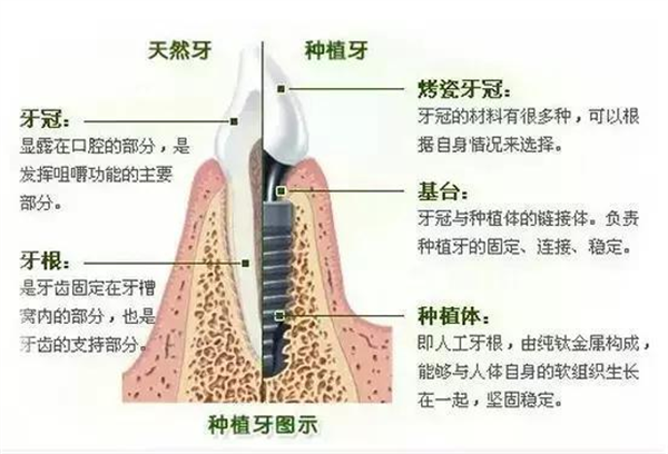 1760672658887637.png 图片2.png