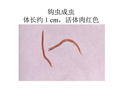 1765184271520117.png 图片1.png