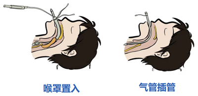 1766478423939190.png 图片1.png