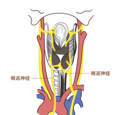1766478443241943.png 图片2.png