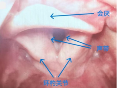 1766478451289651.png 图片3.png