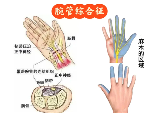 1780905742966629.png 图片1.png