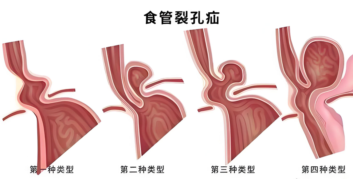 1780909136580322.png 图片1.png