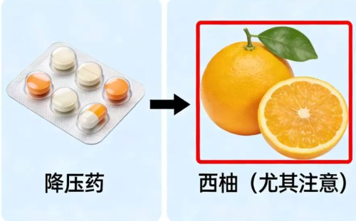微信图片_2026-06-08_170902_273.png