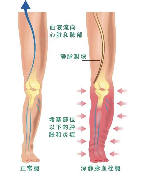 1785120524322692.png 图片1.png